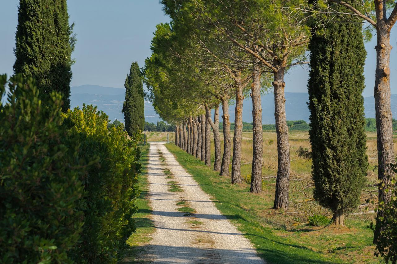 Agriturismo Bandinelli Braccagni Exterior foto