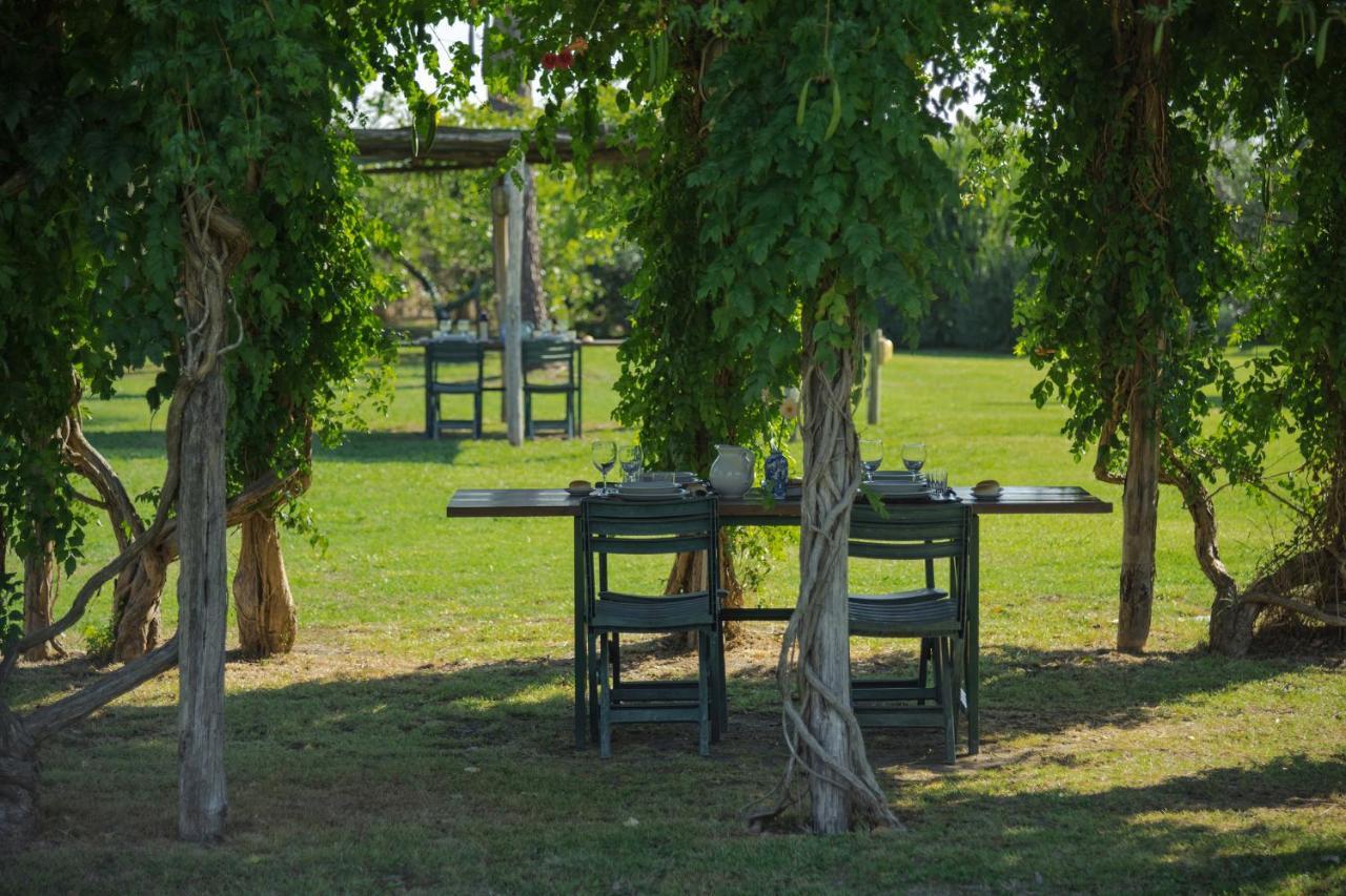 Agriturismo Bandinelli Braccagni Exterior foto