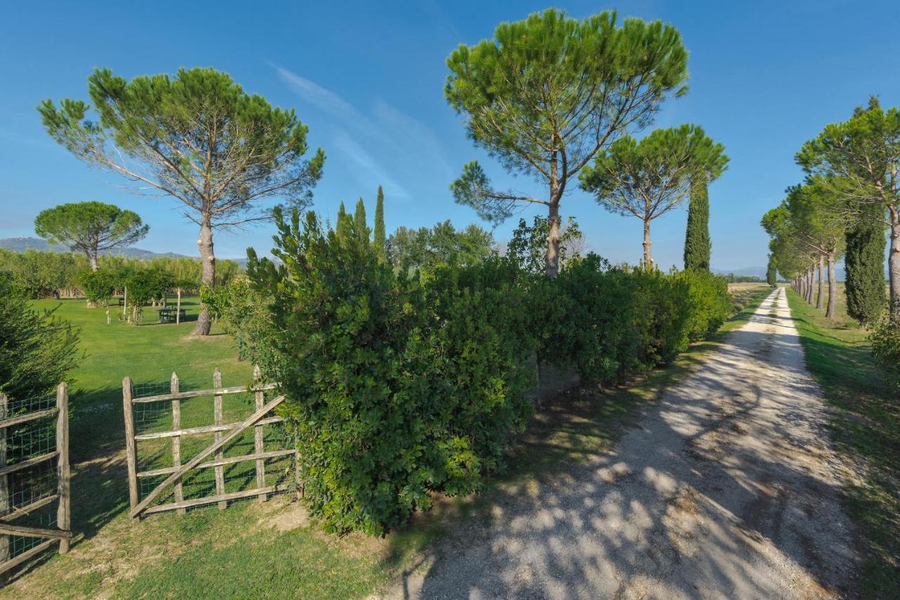 Agriturismo Bandinelli Braccagni Exterior foto